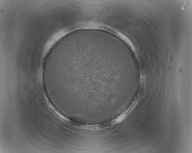 X0000085261464200703161351