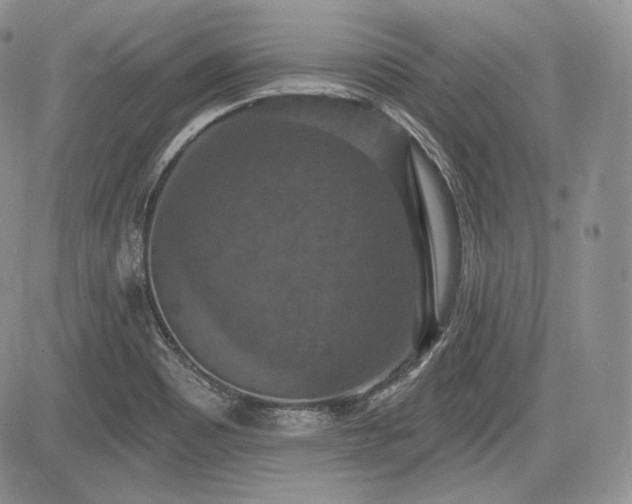 X0000085261465200703161351