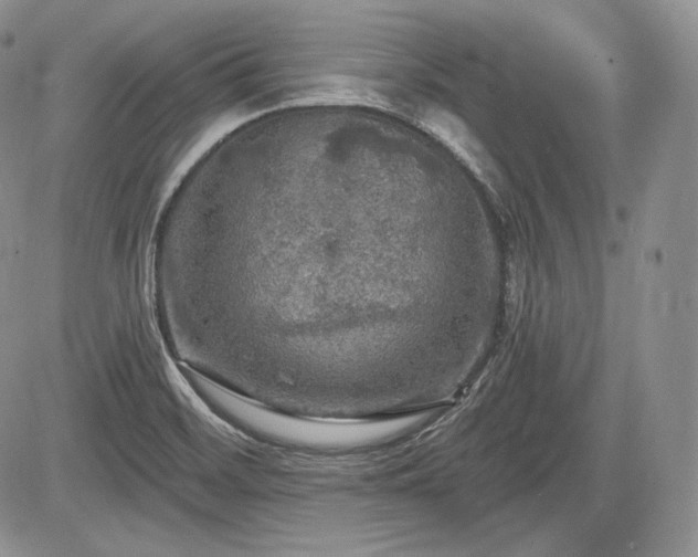 X0000085261468200703161351