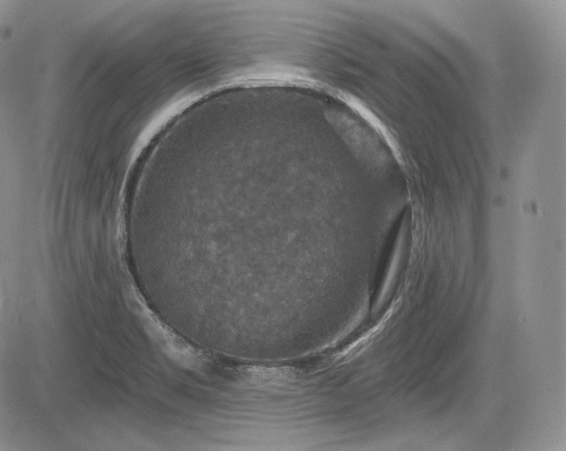 X0000085261469200703161351