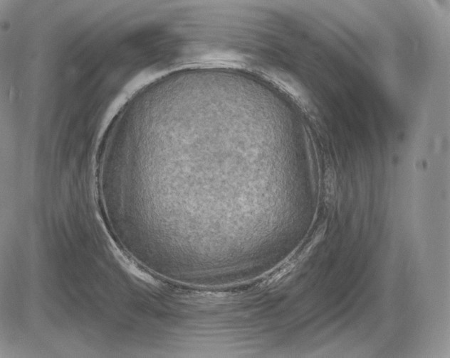 X0000085261470200703161351