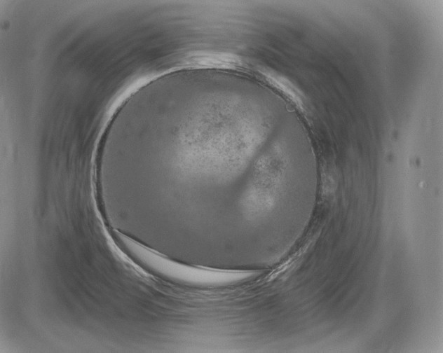 X0000085261471200703161351