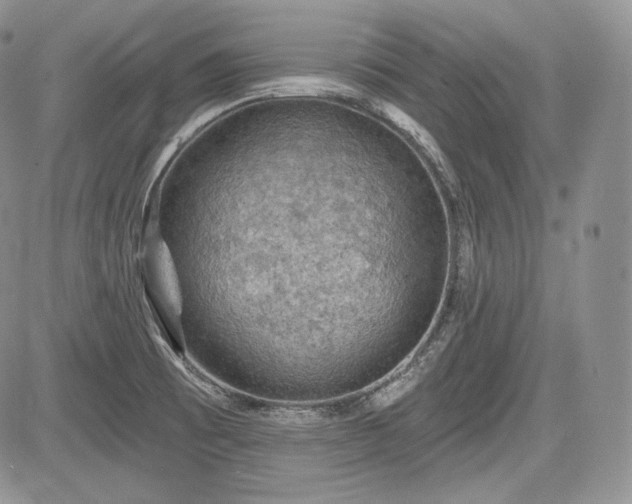 X0000085261473200703161351