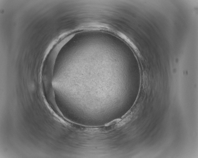 X0000085261477200703161351