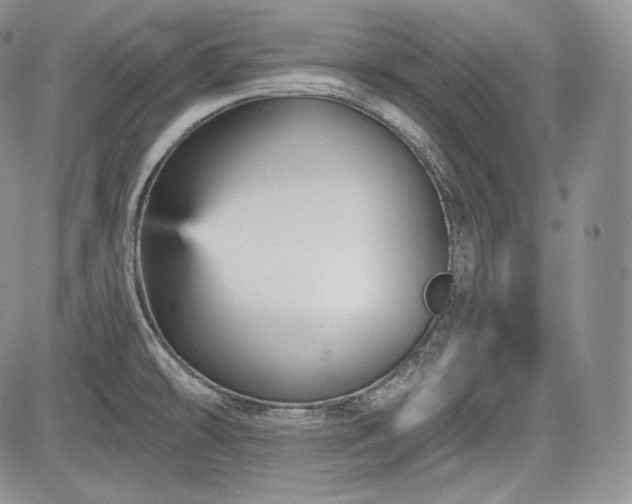 X0000085261478200703161351