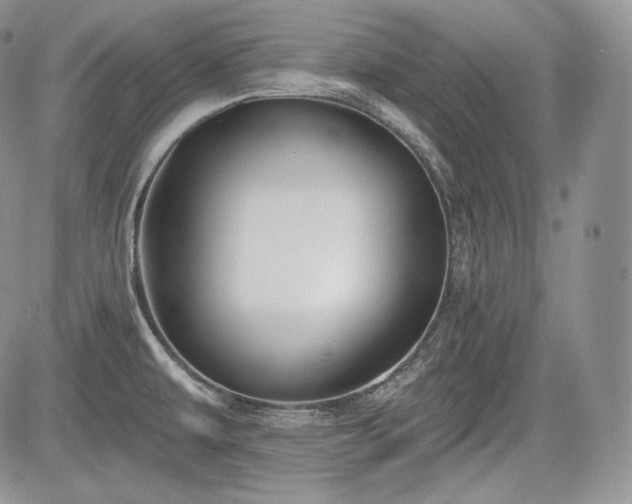 X0000085261479200703161351