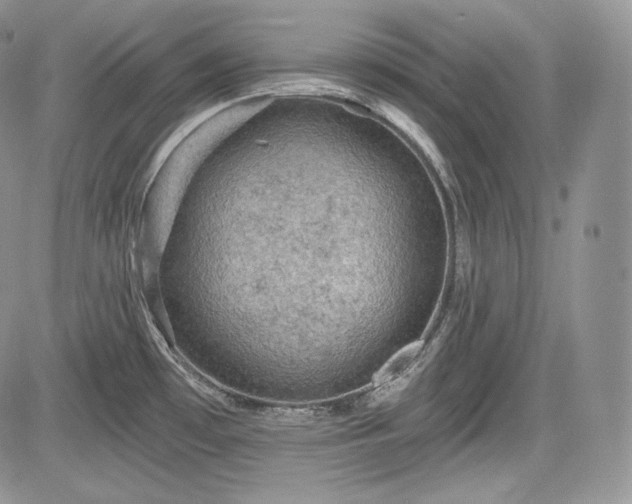 X0000085261481200703161351