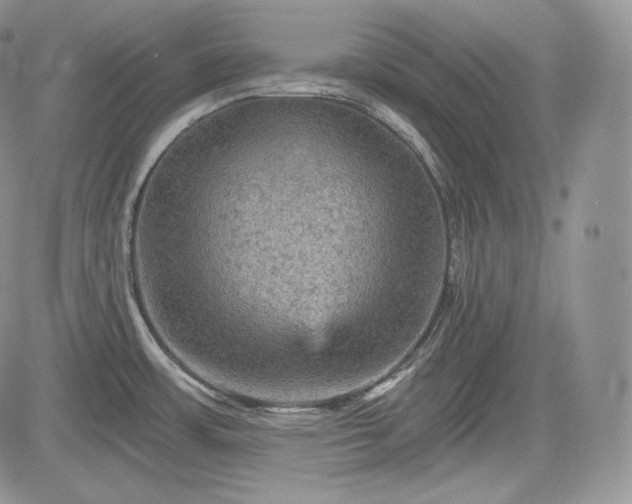 X0000085261483200703161351