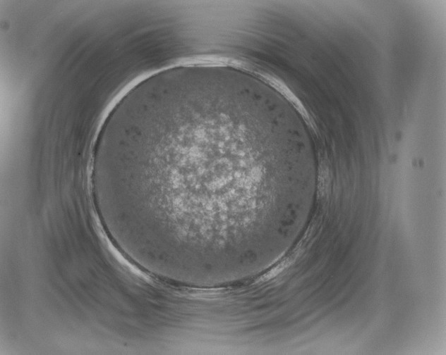 X0000085261484200703161351