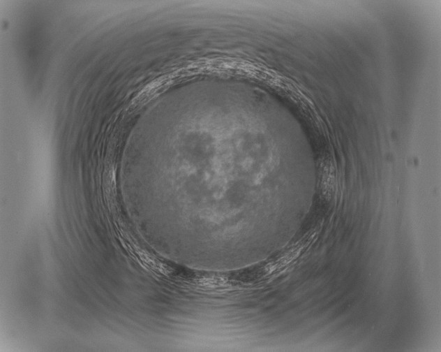 X0000085261489200703161350