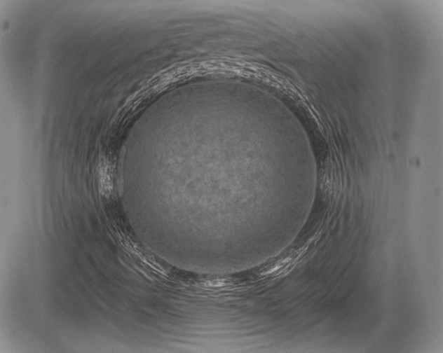 X0000085261490200703161350