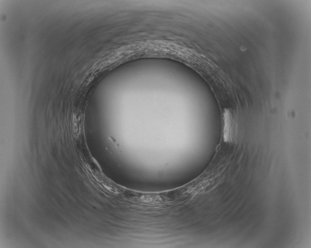 X0000085261491200703161350