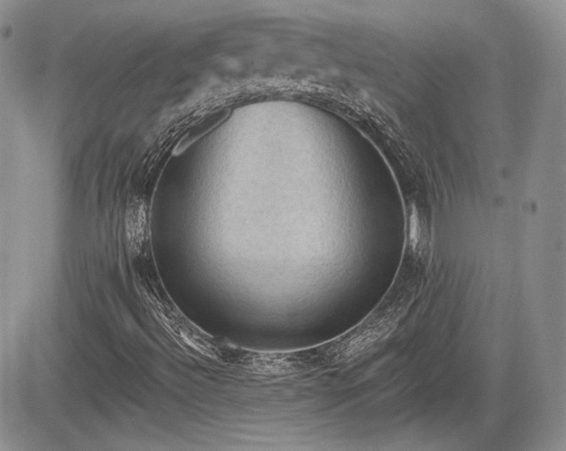 X0000085261492200703161350