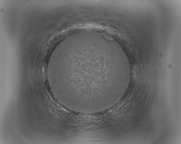 X0000085261493200703161350