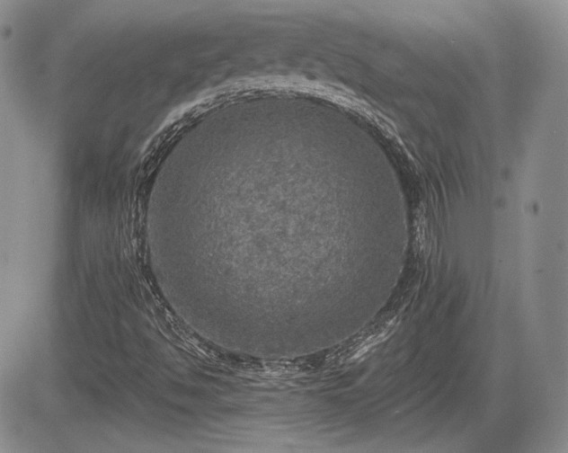 X0000085261494200703161350