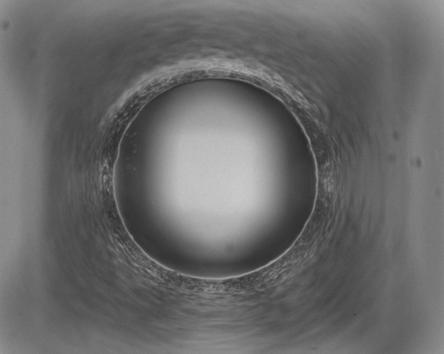 X0000085261495200703161350