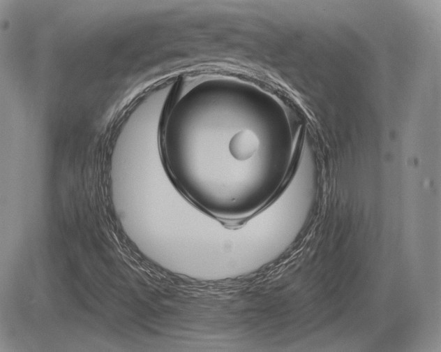 X0000085261496200703161350