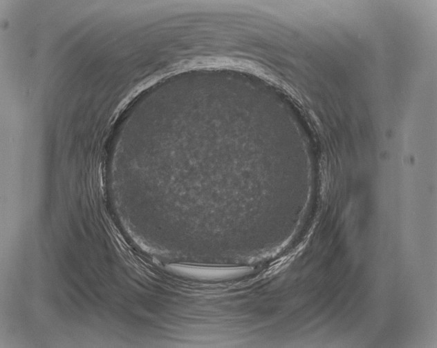 X0000085261497200703161350