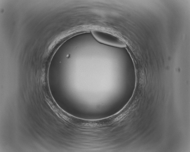 X0000085261499200703161350