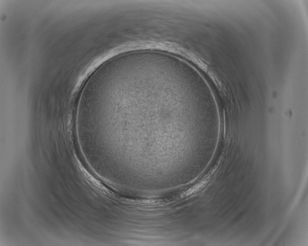 X0000085261500200703161350