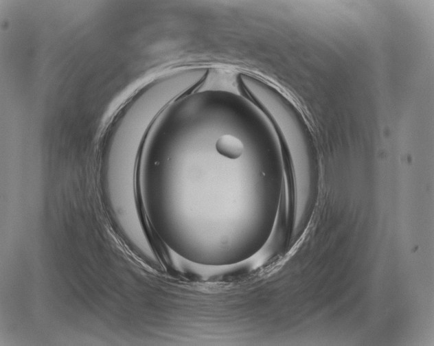 X0000085261502200703161350