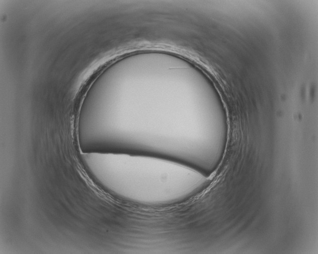 X0000085261503200703161350