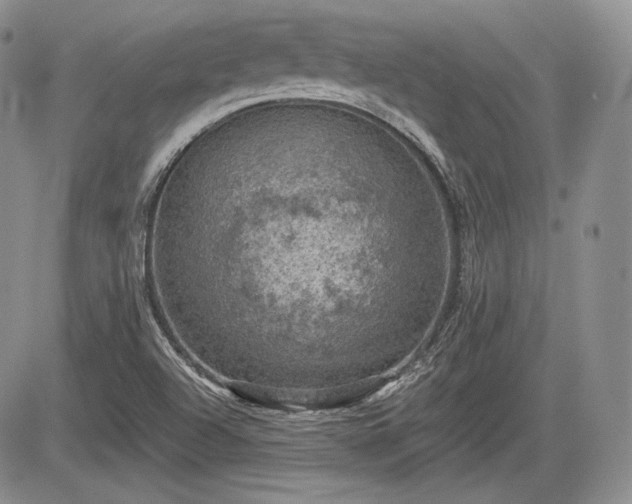 X0000085261504200703161350