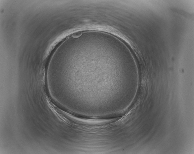 X0000085261507200703161350