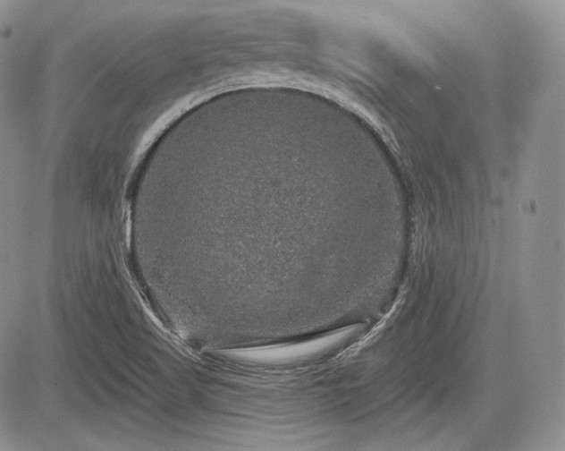 X0000085261509200703161350