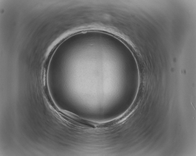 X0000085261510200703161350