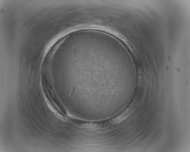 X0000085261511200703161350