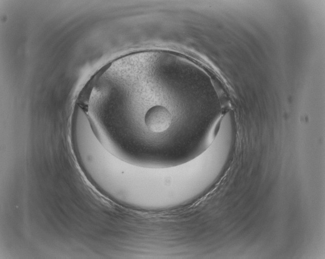 X0000085261512200703161350