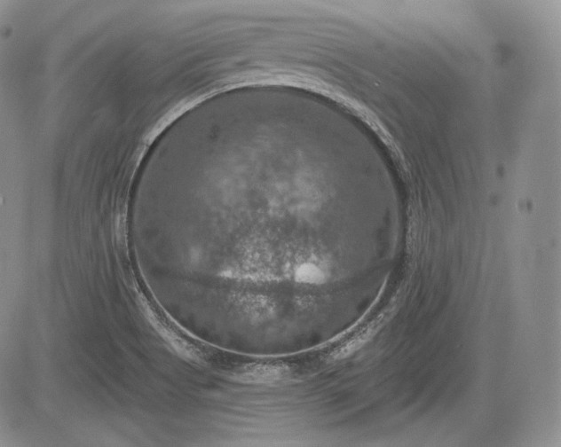 X0000085261513200703161350