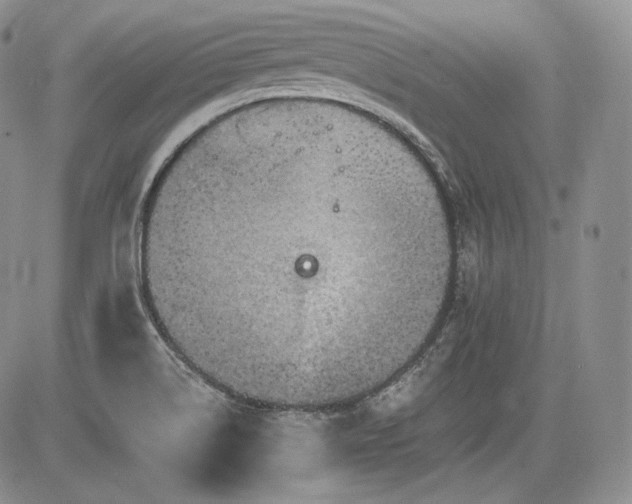 X0000085261514200703161350