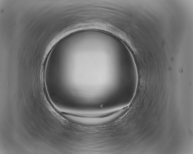 X0000085261516200703161350