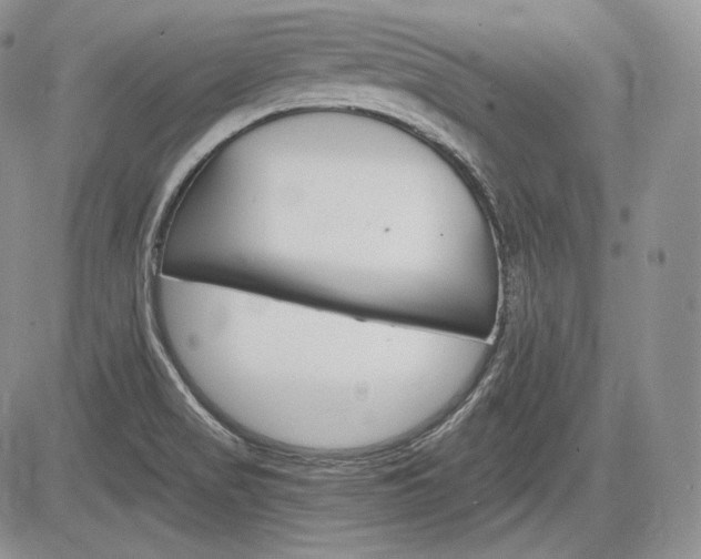 X0000085261517200703161350