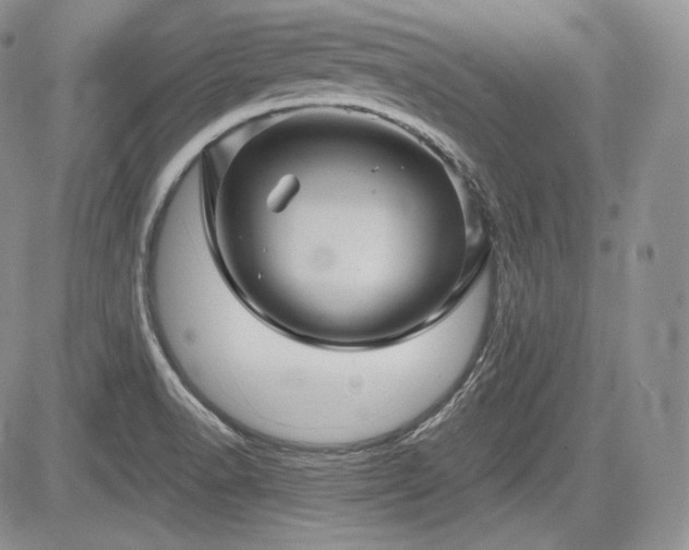 X0000085261518200703161350