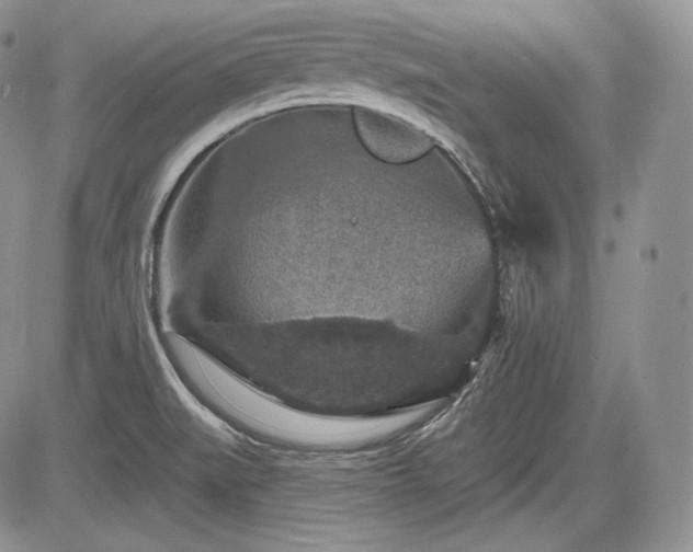 X0000085261519200703161350