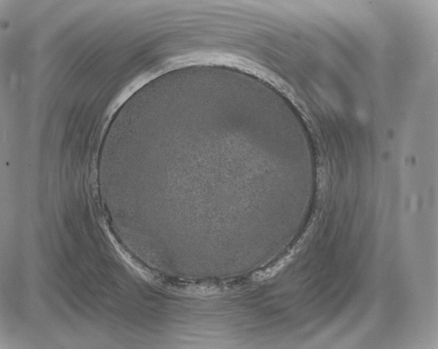 X0000085261521200703161350