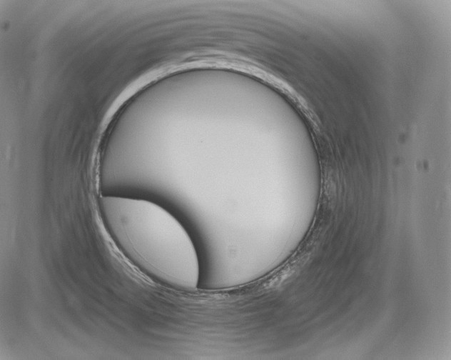 X0000085261522200703161351