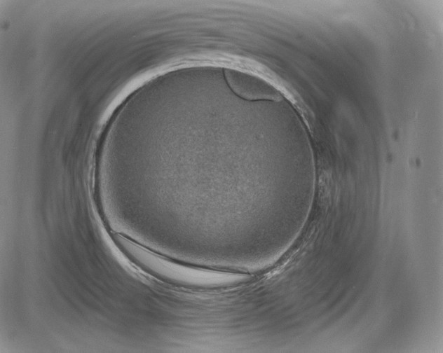 X0000085261523200703161351