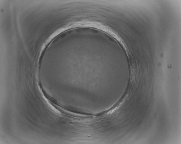 X0000085261525200703161351