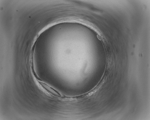 X0000085261526200703161351