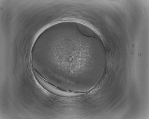 X0000085261527200703161351