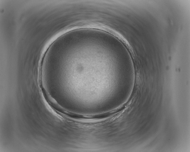 X0000085261528200703161351