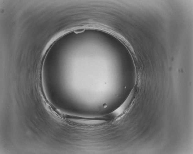 X0000085261530200703161351