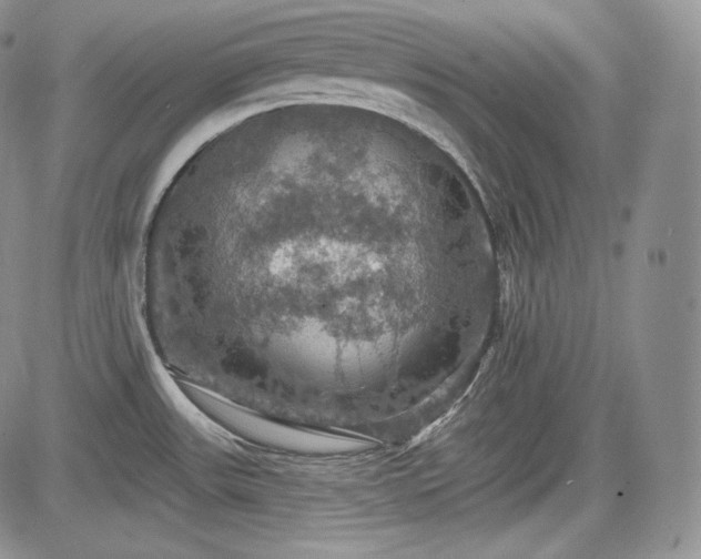 X0000085261531200703161351