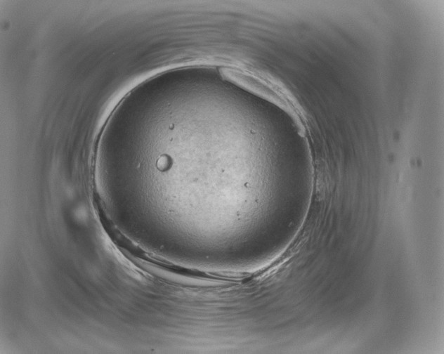 X0000085261532200703161351