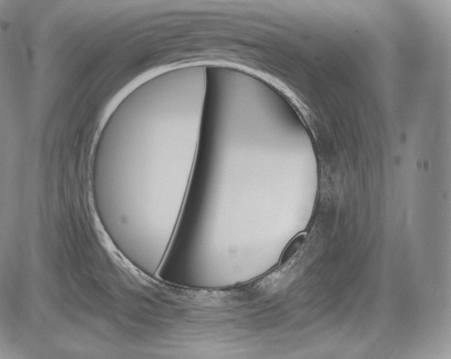 X0000085261534200703161351