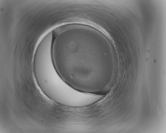 X0000085261536200703161351